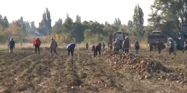 Антикор задержал коррупционеров в нескольких регионах страны