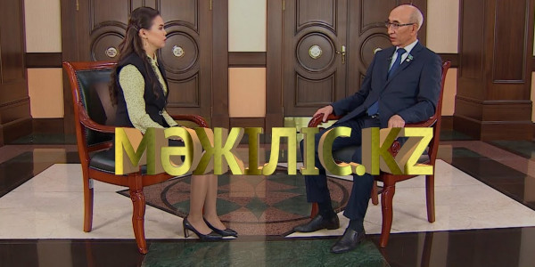 Президент Жолдауын жүзеге асыру. &laquo;Мәжіліс.kz&raquo;