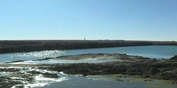 Сельчане требуют остановить строительство рыбоводного хозяйства