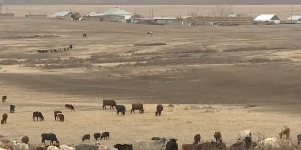 200 человек проживают в селе без названия в Карагандинской области