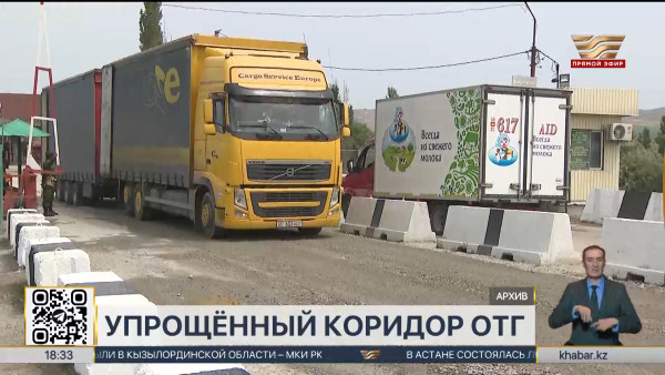 Сенат одобрил создание упрощённого коридора для Организации тюркских государств