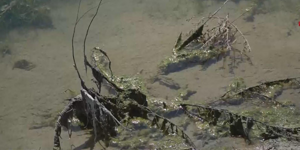 Атырау облысында табиғатты ластаған компания анықталды