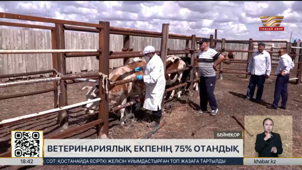 Ветеринария саласында маман жетіспейді