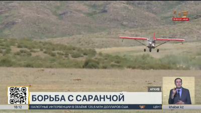 Кампания по борьбе с саранчой завершилась в Казахстане