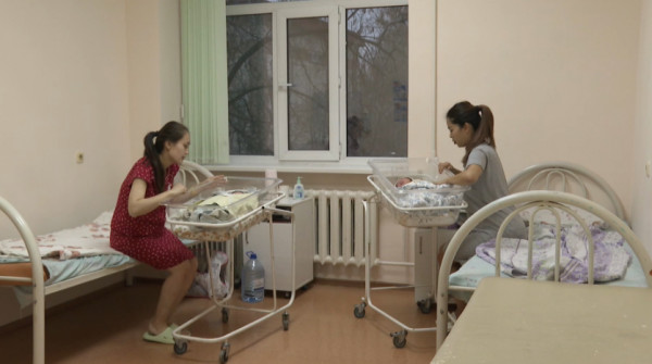 Алып сәбилер көбейді