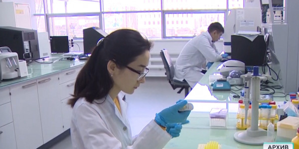 Кодекс о здоровье вернули в Мажилис на доработку