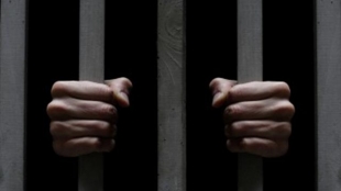 В Павлодаре задержали еще 2 человек, подозреваемых в педофилии