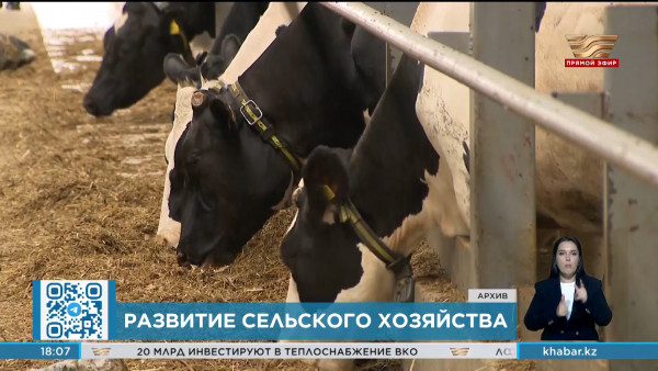 16 проектов мощностью 67,2 тыс. тонн молока введены в эксплуатацию в РК