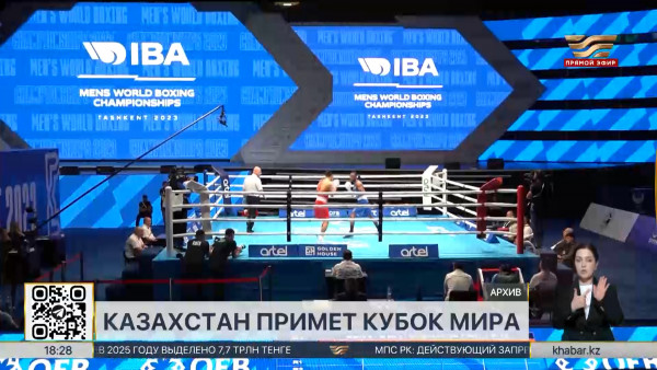 Казахстан примет этап Кубка мира-2025 по боксу