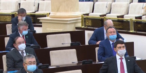Сенат принял поправки в законы о выборах и политических партиях