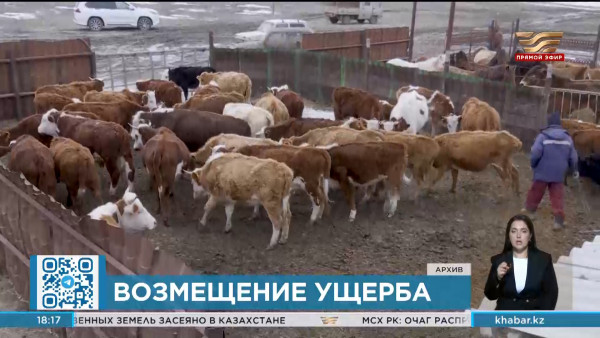 Паводки: сумма компенсаций за павших животных превысили 2 млрд тенге