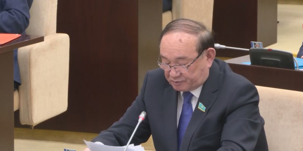 Сенатор Әли Бектаев Үкіметке депутаттық сауал жолдады