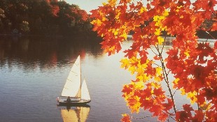 Алдағы күндері жауын-шашынсыз ауа райы болжануда