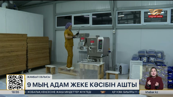 Жамбыл облысында 9 мың адам жеке кәсібін ашты