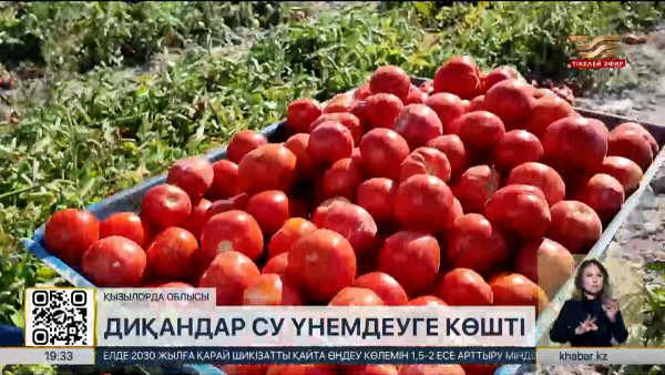 Қызылорда облысында диқандар су үнемдеуге көшті