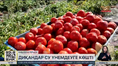 Қызылорда облысында диқандар су үнемдеуге көшті