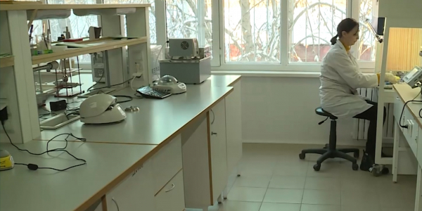 Выведены новые сорта сельхозкультур