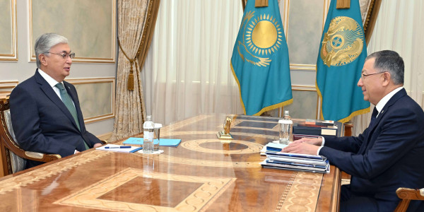 Глава государства принял ректора КазНУ имени аль-Фараби Жансеита Туймебаева