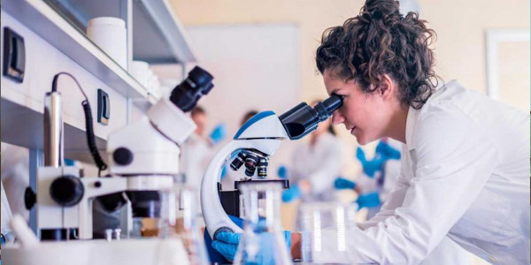 500 казахстанских ученых пройдут стажировку за рубежом за счёт государства