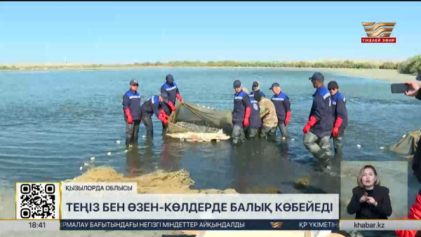 Арал мен Сырдарияға 12 миллионнан астам шабақ жіберіледі