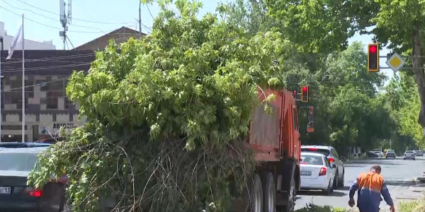 В Шымкенте устраняют последствия сильного ветра