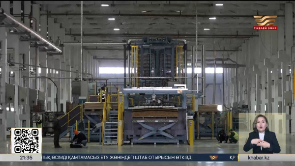 СҚО-да ағаш өңдеу зауыты салынады