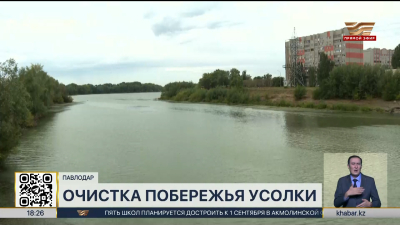 Побережье Усолки очистили от мусора в Павлодаре