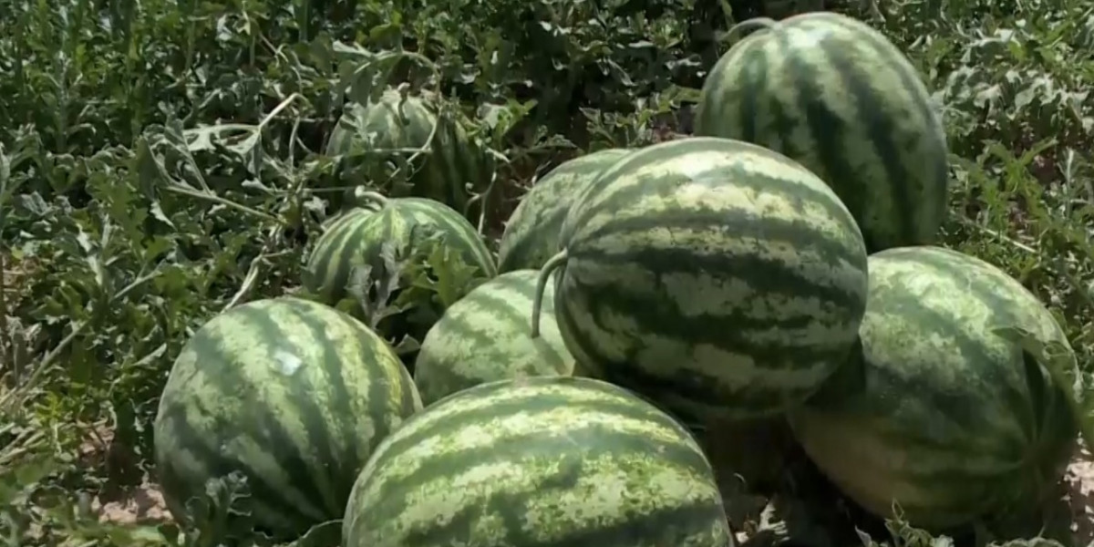 Порно бет Жетілген жетілген жетілген порно онлайн