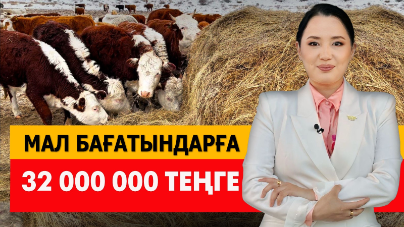 Мал бағатындарға 32 000 000 теңге. «Әлеумет»
