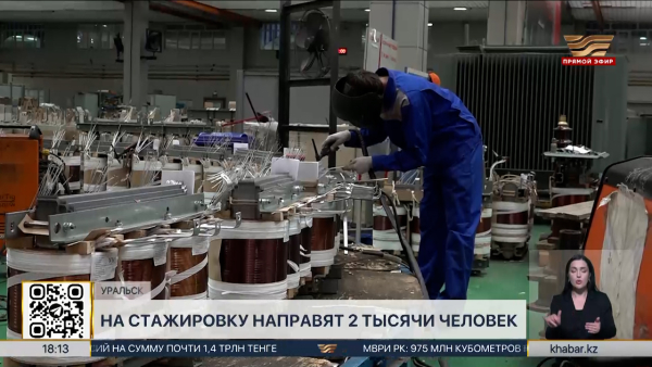 «Молодёжная практика»: на стажировку направят 2 тыс. человек в ЗКО