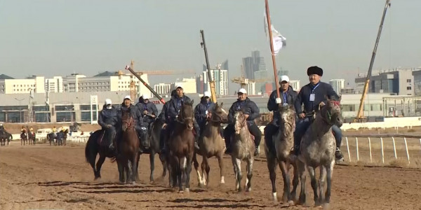 Елімізде спорттық жылқылар көбейеді