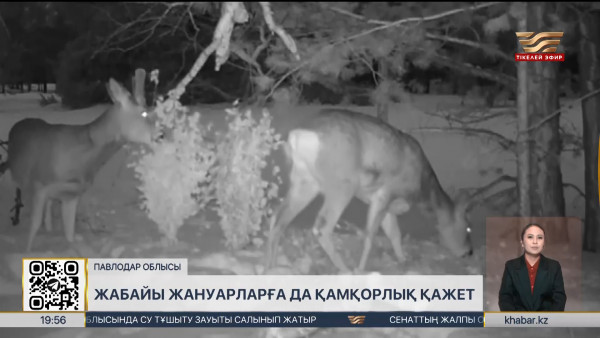 Павлодарда орманшылар жануарлардың азығын дайындап жатыр