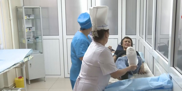 Қарағанды облысында күн суытқалы бері үсік шалғандардың саны артты