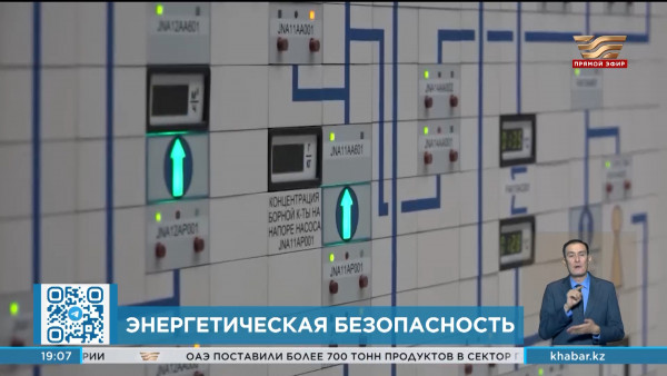 Эксперты: строительство АЭС в Казахстане необходимо начинать уже сейчас