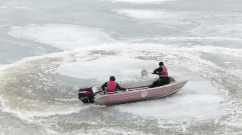 Собака почти полмесяца провела на льдине на озере Копа