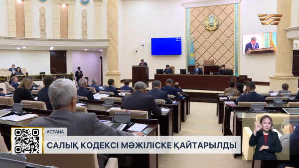 Енді аса қымбат мүлік иелеріне «сән-салтанат салығы» салынады