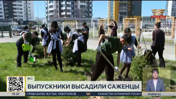5200 деревьев высадили выпускники школ в ВКО