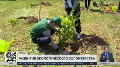 Экологическое волонтёрство: в Астане прошла международная сессия
