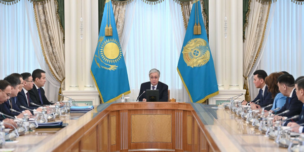 Президент әкімдермен және мемлекеттік органдардың басшыларымен кеңес өткізді