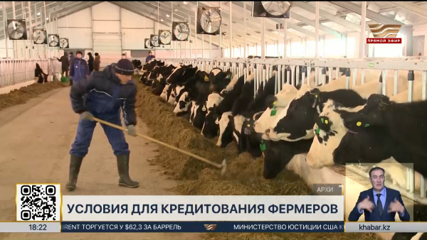 Как получить льготный кредит для откормочных площадок под 5% от АКК?
