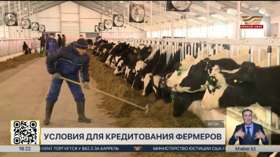 Как получить льготный кредит для откормочных площадок под 5% от АКК?