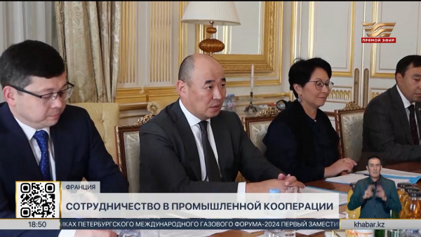 Казахстан и Франция укрепляют сотрудничество в сфере промышленной кооперации