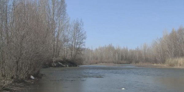 Күршім өзеніне кәріз суы төгіліп жатыр