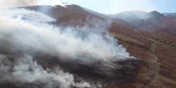 Ущерб от пожаров ВКО превысил млрд тенге