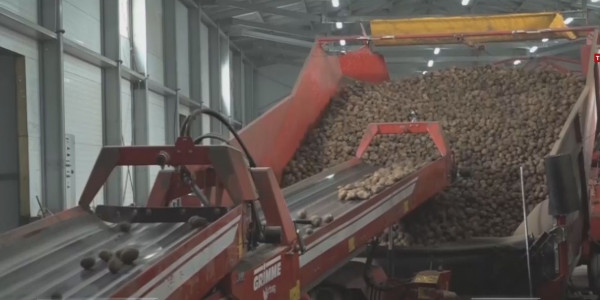 Павлодар облысында көктемгі дала жұмыстарына дайындық қызды