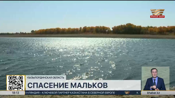 Свыше 10,5 млн мальков выпустили в водоёмы Кызылординской области