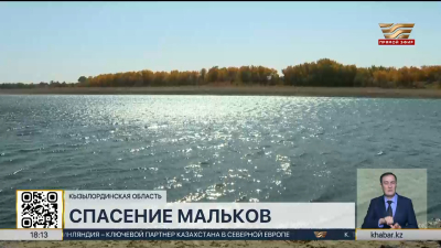 Свыше 10,5 млн мальков выпустили в водоёмы Кызылординской области