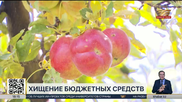 Арестован экс-глава Фонда финансовой поддержки сельского хозяйства