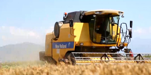 Грузия дәнді-дақылдар экспортын шектеді