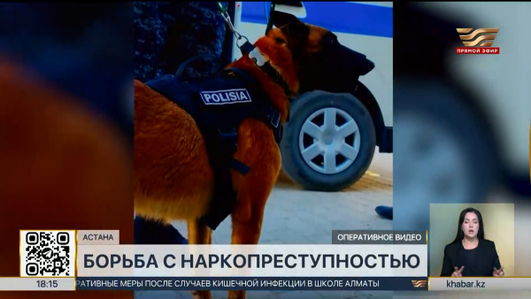 Крупный канал поставки наркотиков из Астаны пресекли в Жетысу
